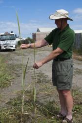 Image: Kerry Ford © Landcare Research 